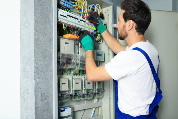 Best Electrician for Home Renovation  in Baltic, SD